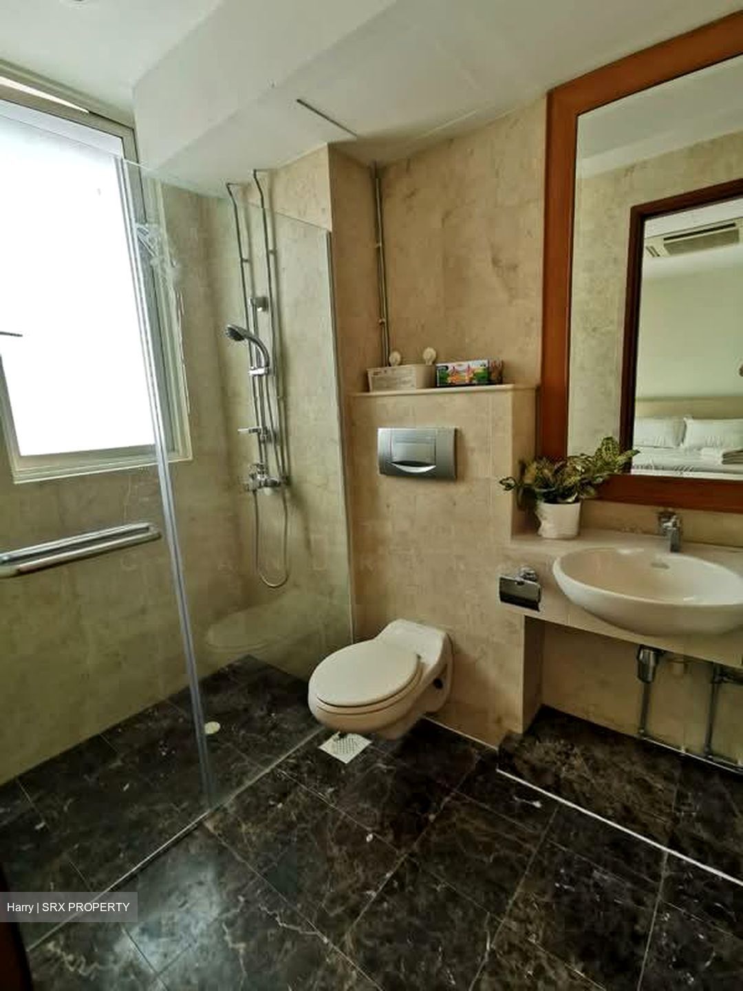 The Hermitage (D10), Apartment #566898031